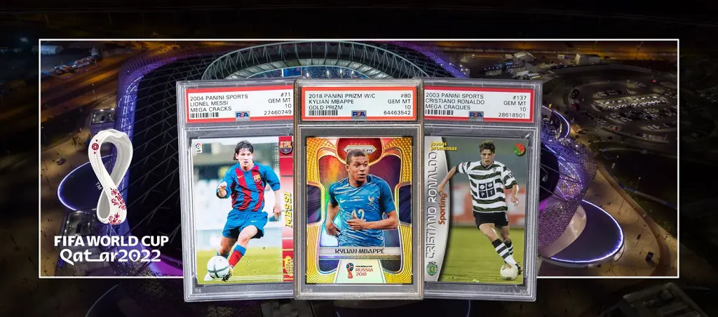 The cards shown in the picture is a theme of Football/Soccer cards that are available in the market.