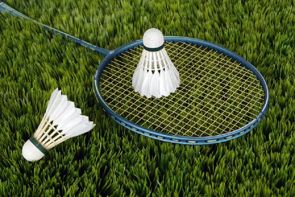 Badminton is a sport that has been around since the 16th century.