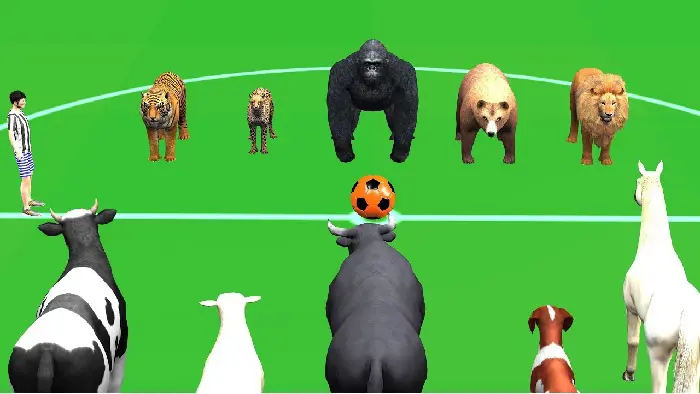 Various animals have been linked with soccer jokes and they are quite hilarious 
