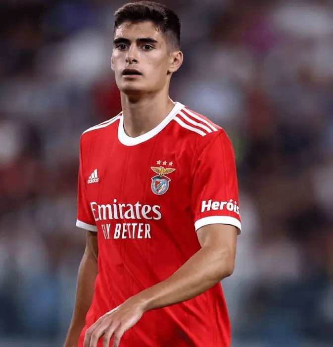 19 year old António Silva has been crucial for SL Benfica this season  