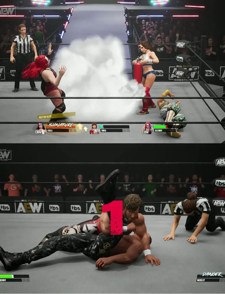 The game has wide range of customization options that includes wrestlers attire