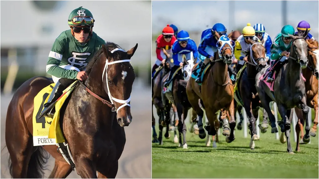 Breeders Cup Past Performances PPs and Picks 2023