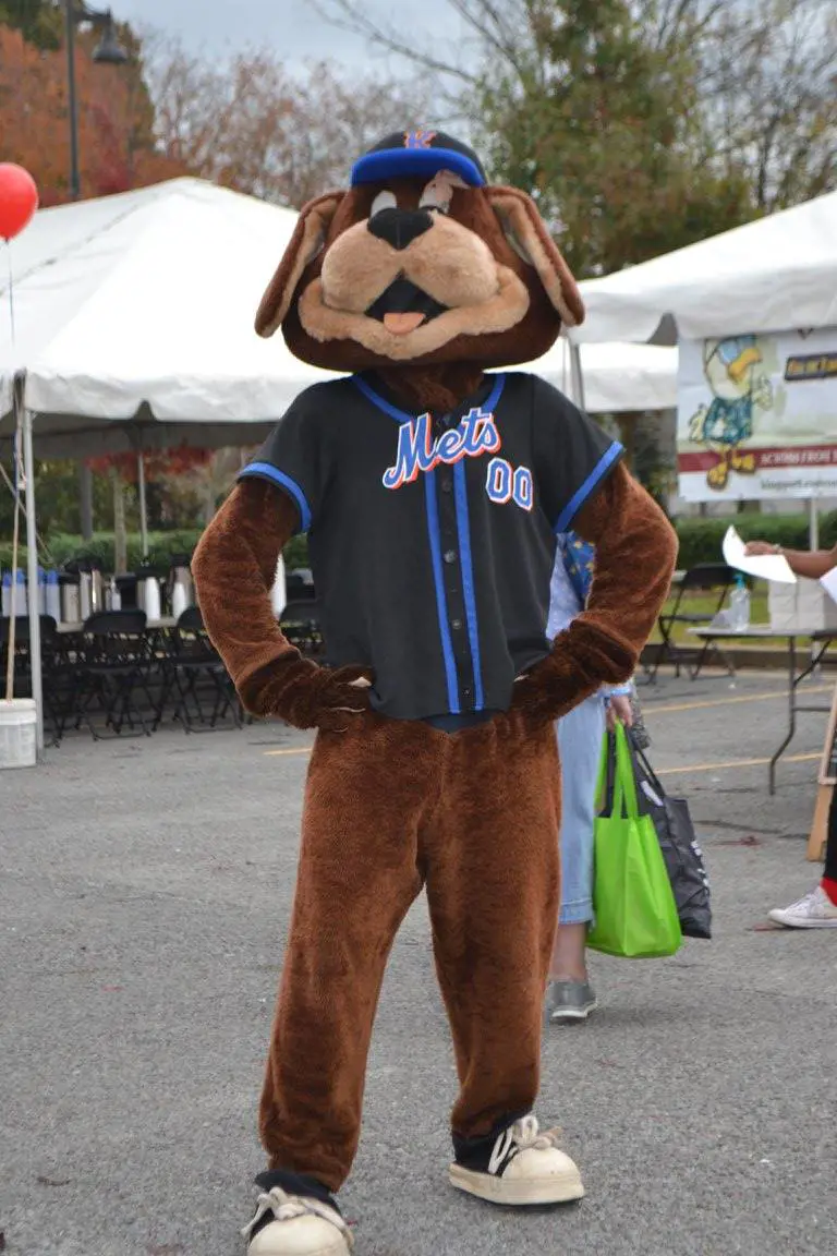 The Kingsport Mets mascot, Slider, at the 4th Annual Walk for Wellness Expo in 2018.