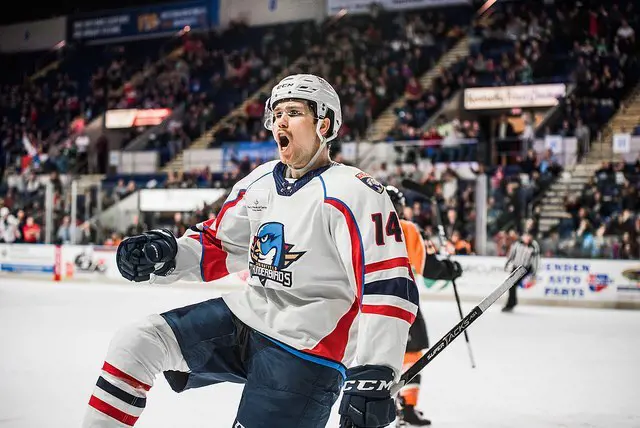 Joel celebrates after scoring a goal for Springfield Thunderbirds on 2018.