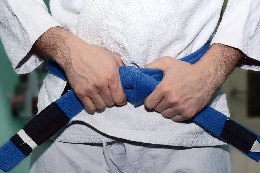 Blue belt represents a karateka's growth towards the high sky.
