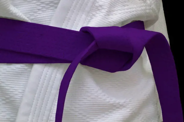 Purple belt classes are similar to adult program due to the advancement of kyu levels.