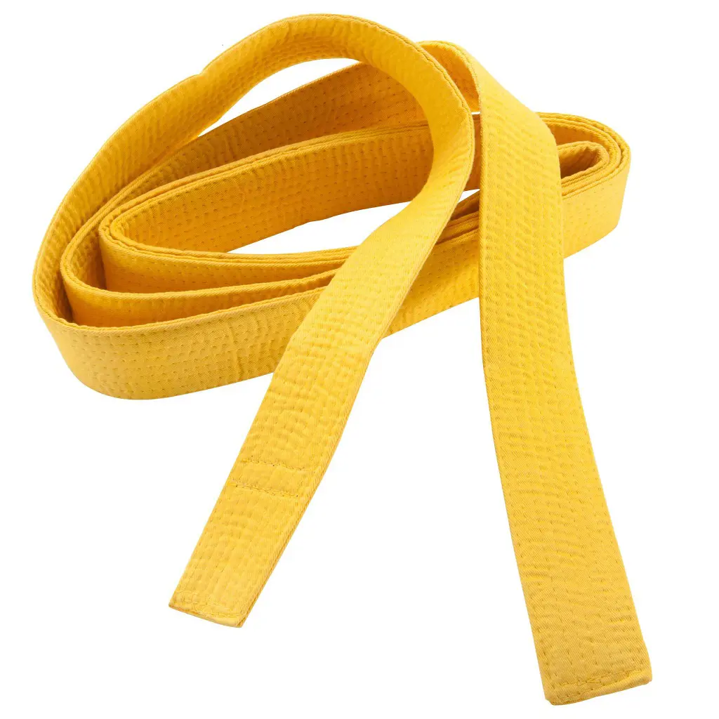 Yellow belt is worn by a beginner who has learned to practice the basic moves of karate. 