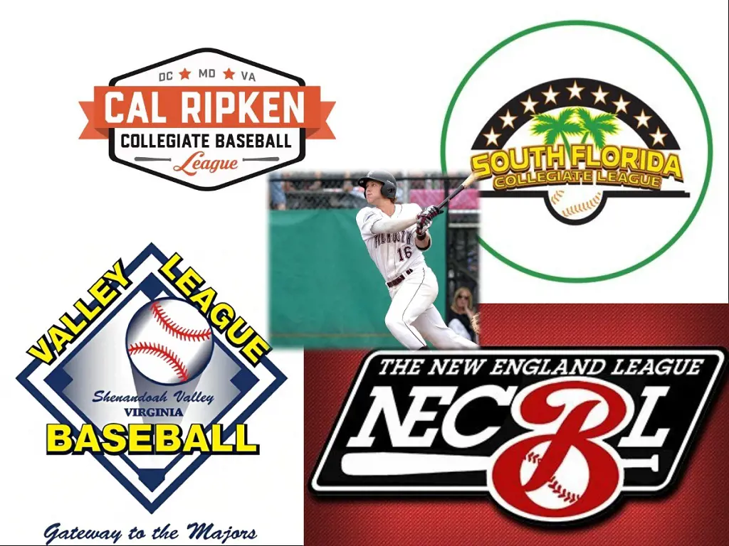 Picture collage of college level baseball leagues around the country.