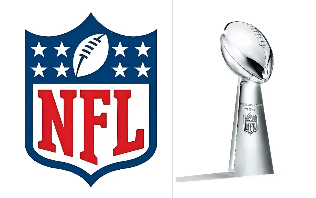 Super Bowl replaced the NFL Championship Game in 1966 to determine the champion team of each NFL playing season.