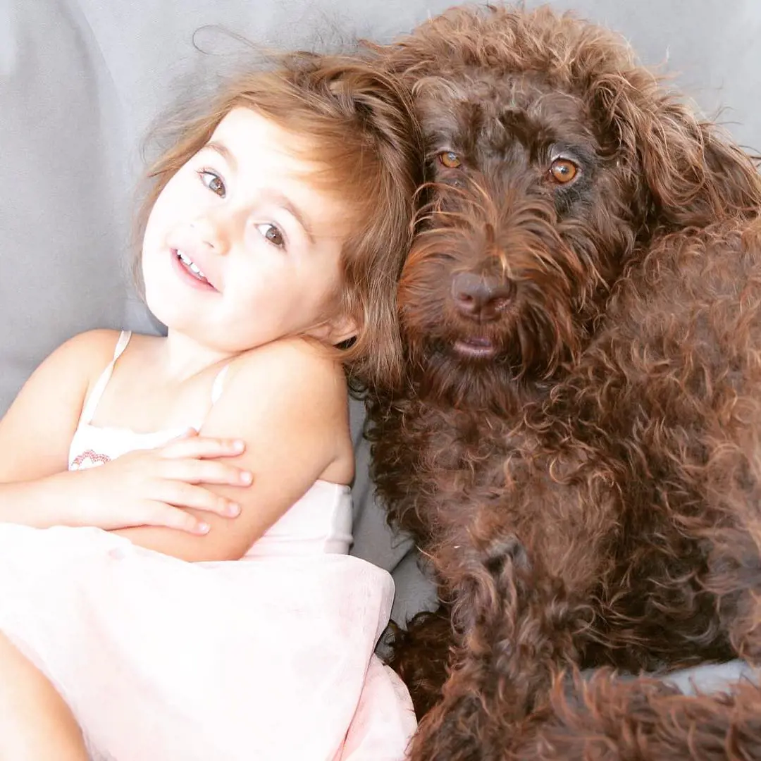 Eldest daughter Harper May Lyon has affinity for pet dogs  